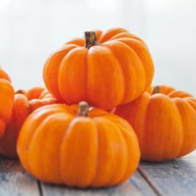 Rauginti moliugai - Image 2