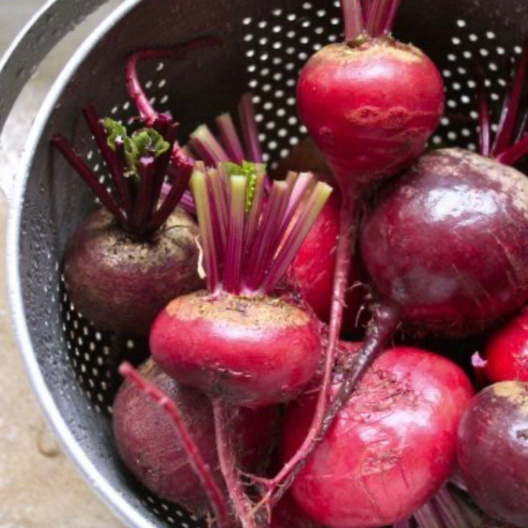 Rauginti burokeliai - Image 3