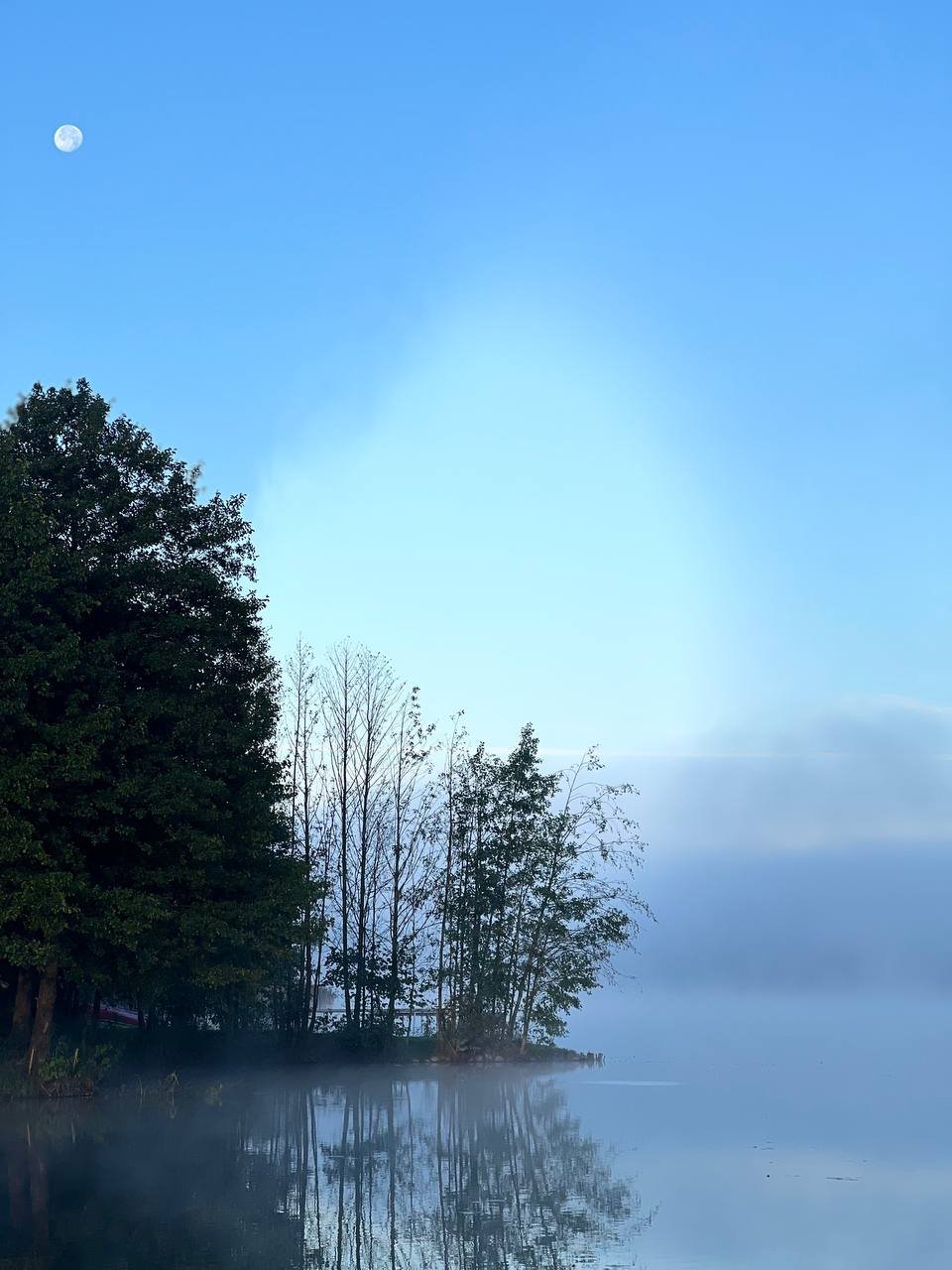 Žaleso ežeras prie Šaltonės – ramus rytas gamtos apsuptyje netoli Vilniaus