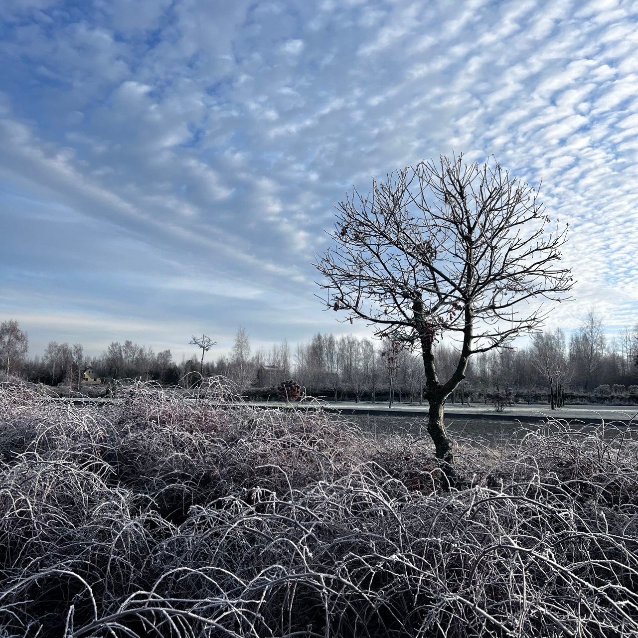 nuostabi gamta žiemą