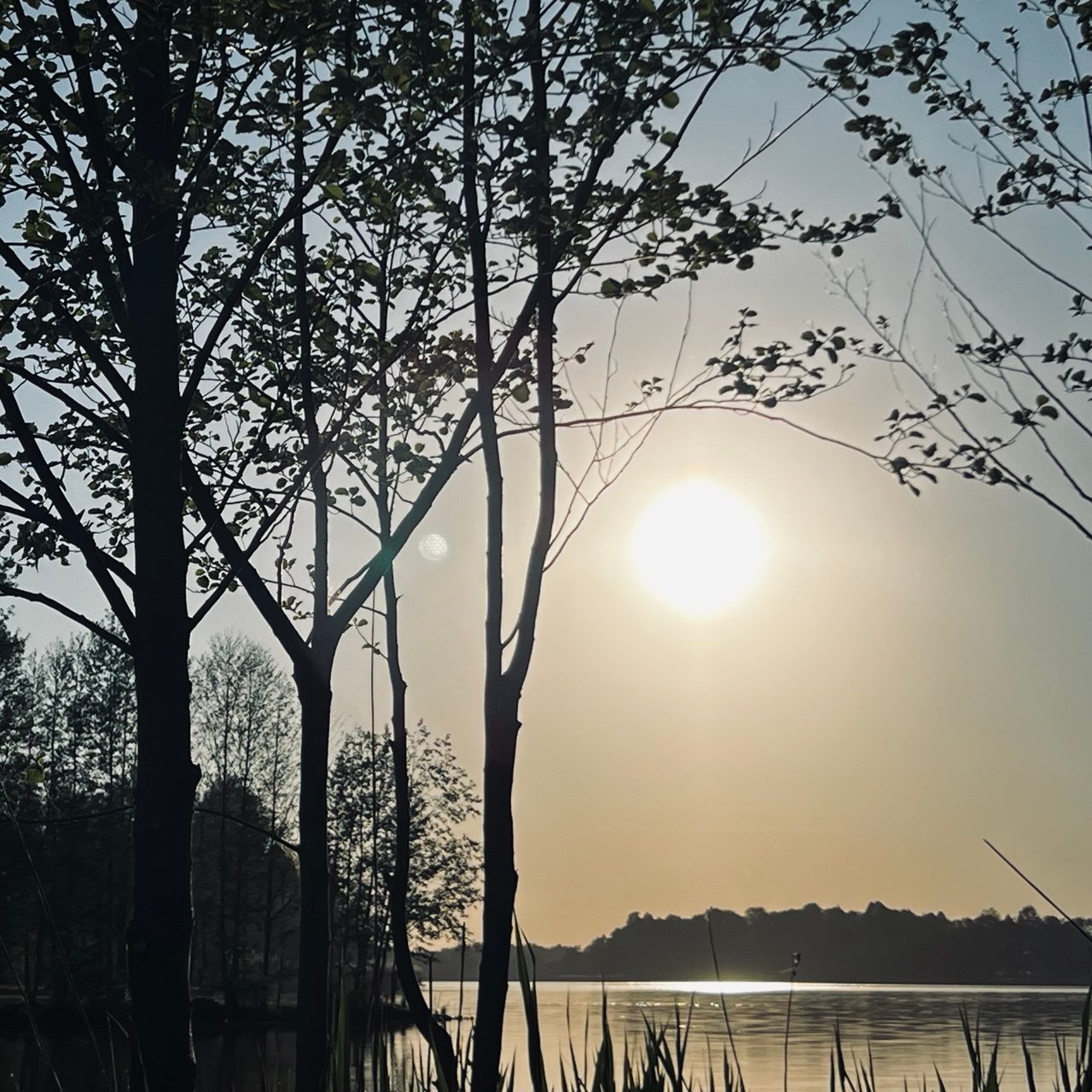 Saulėlydis prie ežero Šaltonėje – ramybė ir gamta