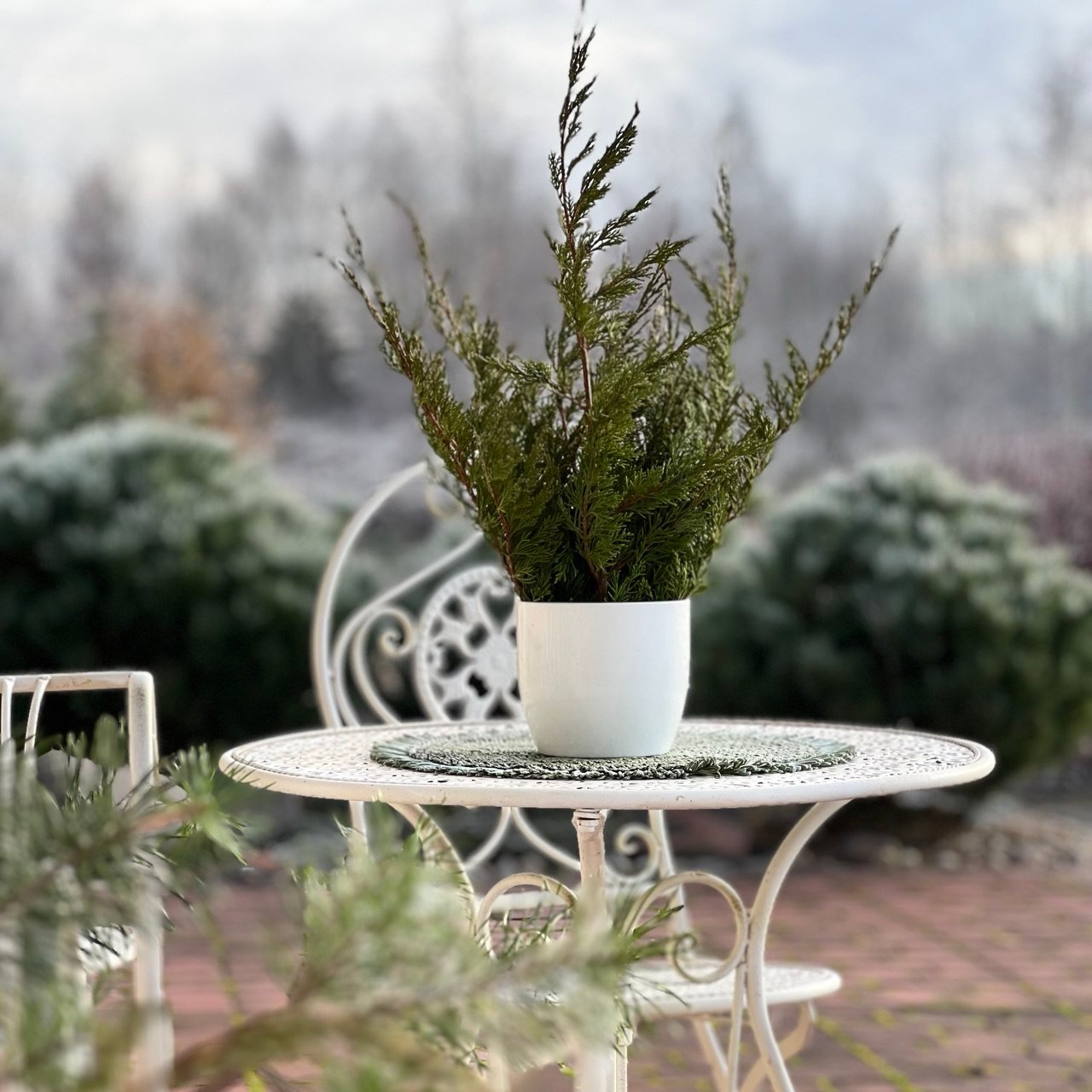 Šaltonės lauko terasa su baltais metaliniais baldais ir žaluma