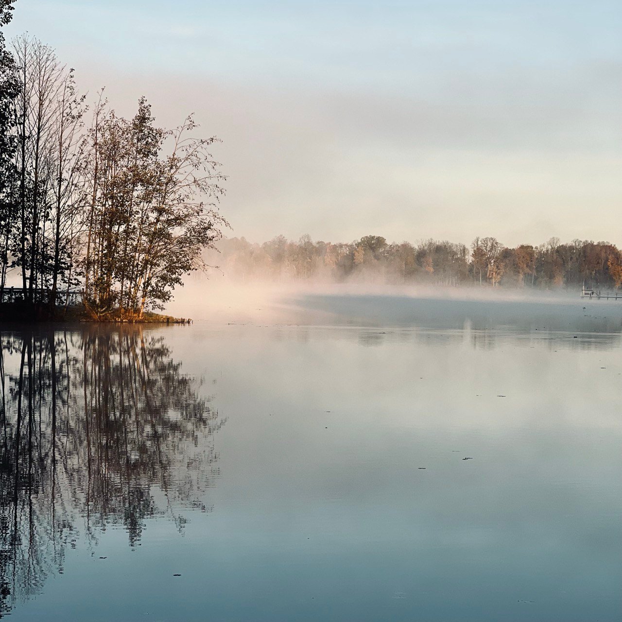 Rytinis vaizdas prie ežero Šaltonėje – ramybė ir gamta