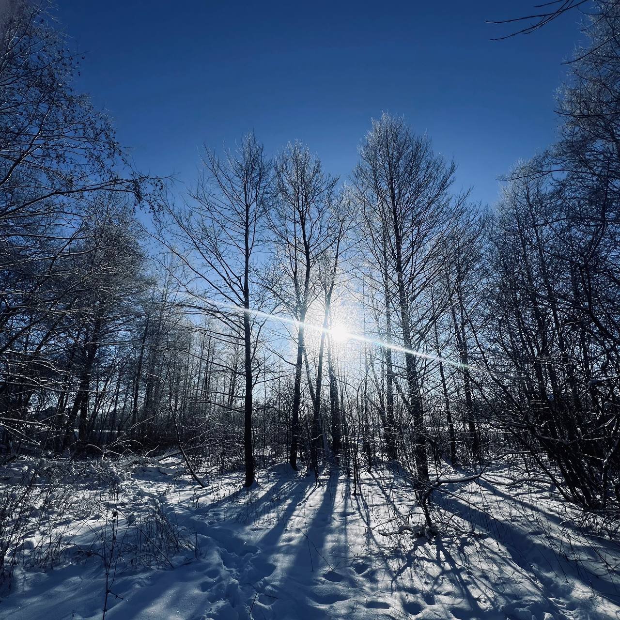 photo 2026 02 05 16 34 38